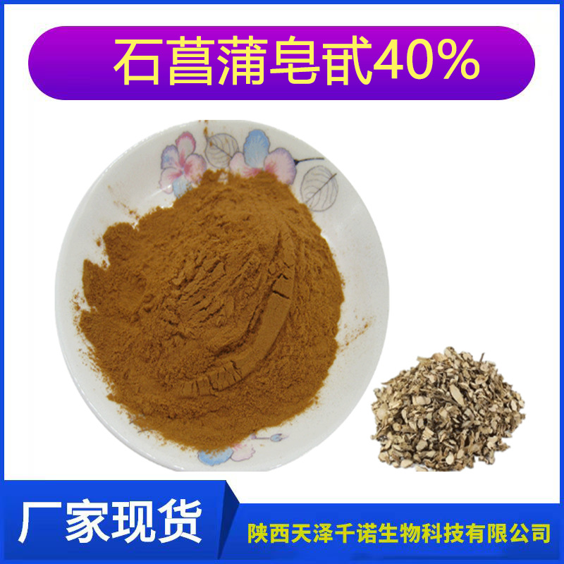 石菖蒲提取物 石菖蒲皂甙40% 石菖蒲粉 石菖蒲原料厂家货源千诺