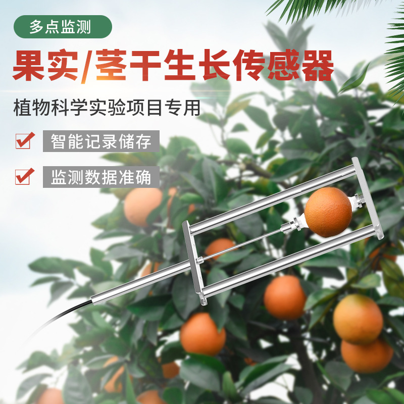 果实茎秆生长传感器在线监测果实膨大直径传感器