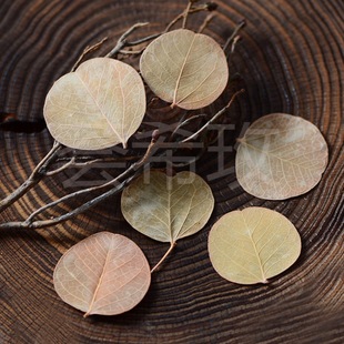 �������A�~�����~�A��С�~�Ӹɻ�����Ʒ���h������������