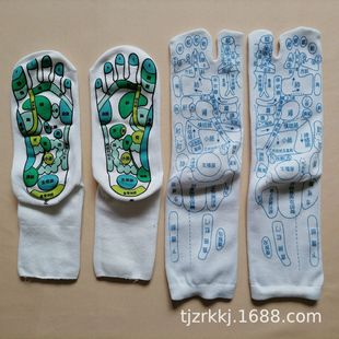 �S�Ҷ��������޶�ָѨλ�m��Ħ�m�D���m��ָ�mӢ���n�����Ŀ��OӋ