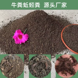 栽培基质;其他园林资材;龙猫生活用品