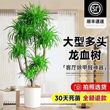 ��Ѫ��͏d���Դ�����լ���^��횘�Gֲǧ��ľ�����Ϙ����ֲ��