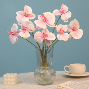 ��������m����c��������diy��������b����յ��߼ٻ���������