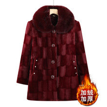 ̶bӽqˮqŮƤƤ\·