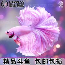 S̩~^p~С͟Ꭷˮ~βͰ»鼆~wBͻ