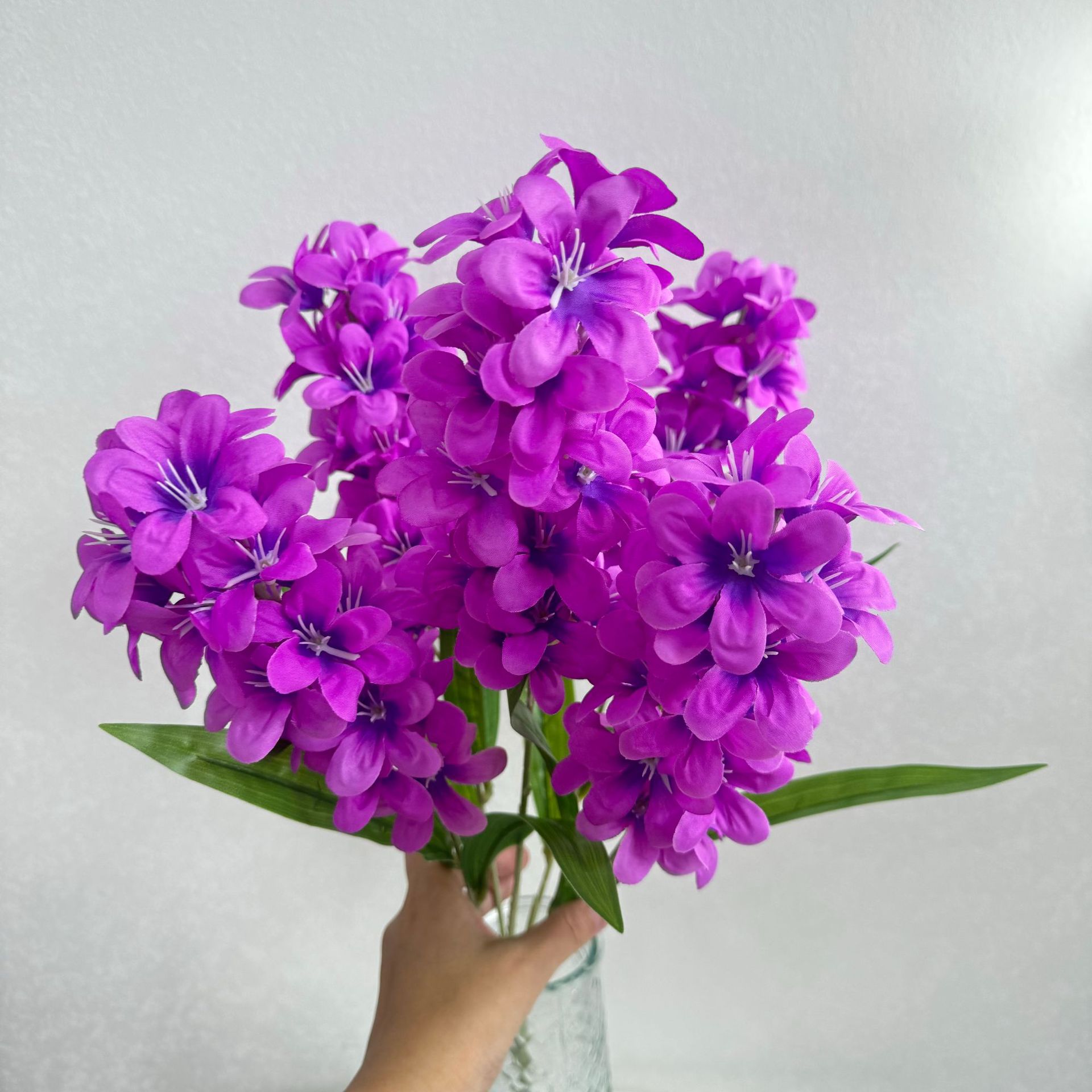 보라