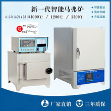 SX2Rt̎ҷ˻tߜʽtI늠t