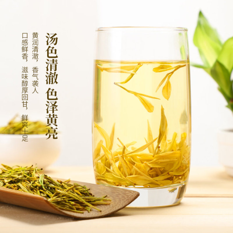 新茶 黄金の芽 緑茶 黄金の葉 自分で飲むお茶 メーカー直送 半斤 ギフト箱 明前緑茶|undefined
