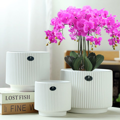 原廠批發陶瓷花盆綠蘿蝴蝶蘭專用盆多肉家用客廳大號一件代發