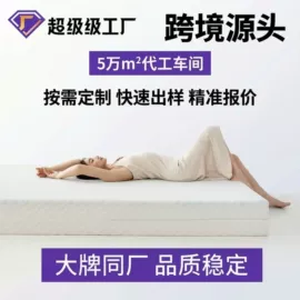 记忆枕;记忆床垫;其他床垫