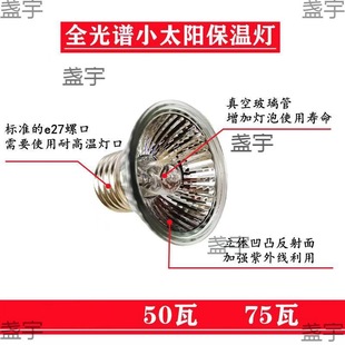 �J���u� ����������r���ؿ����a��ȡů���Bֳ���С�u�Ӝ؉�����