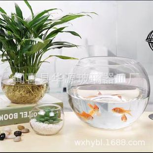 Hydroponic plant glass bottle hydroponic green radish vase flower pot glass ball copper grass hydroponic plant utensils