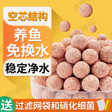 пʯӢ~מVD^V^Vմɭhˮˮ