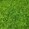 FD spinach segments 6-10mm 20g/pack