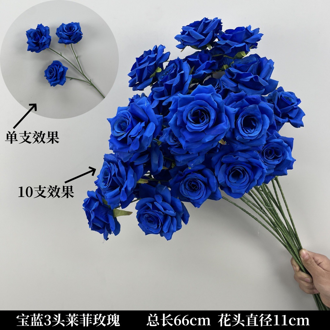 로얄 블루 3 라이피 로즈