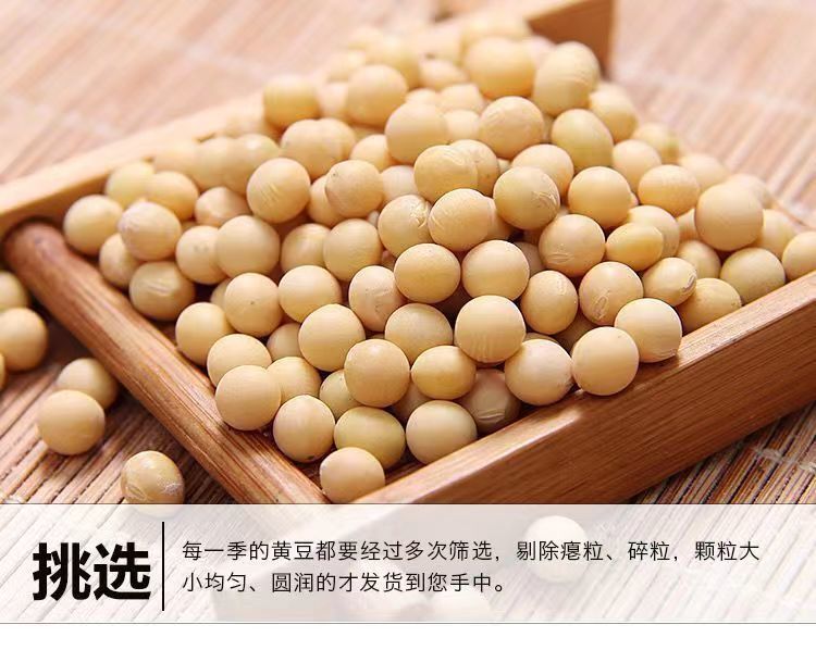 986a9765-ad0a-4f82-a60e-5e33946c627a.jpe