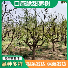 س۴󗗘5-25֗UֱðA֦lSMeͥԺNֲ