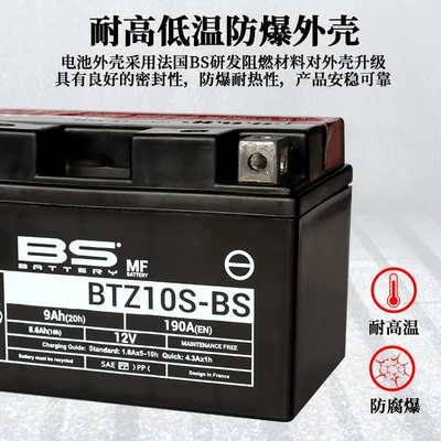 Car battery/battery 12v suitable for Dujango