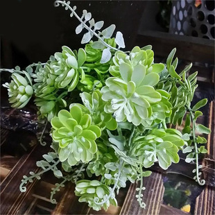 ������滨�ٻ�����ֲ��Gֲ���b������Ի�c��������ˮ�����l