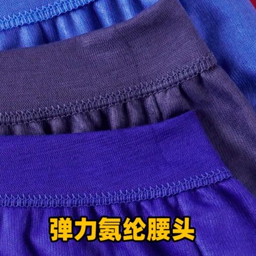 Wholesale Non-cotton Triangular Briefs for Middle-aged and Elderly Men, Loose High-waisted Plus Size 