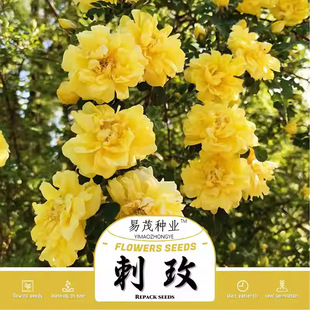 ���N���S��õ���ܴ�ȫ���Ի��@�������NͥԺ�̨���N�Ӵ����＾��