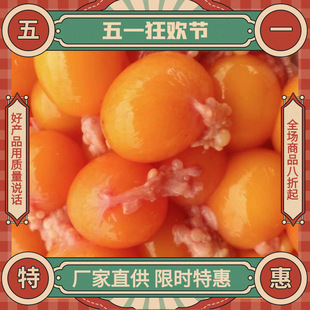 ������B��ʽ���Bδ������S���B��������{���r���Bδ���S