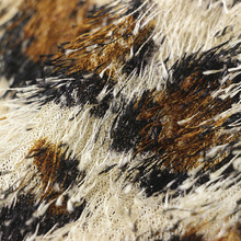 ���yӡ����ᘽq���b�Ҽ�������ϟ����q�Lë�q���yӡ����ᘽq����