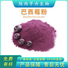 ����ݮ�� ����÷���� ���w��� ��s֭�� ���Ѓ��ɷ� 1kg���]