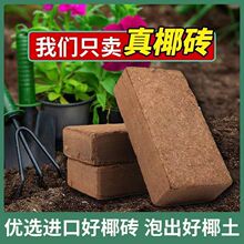 ���ݰlҬ�ӠI�B���ЙC���}Ҭ�u�B�����s�I�B��Ҭ�u���N��ͨ����