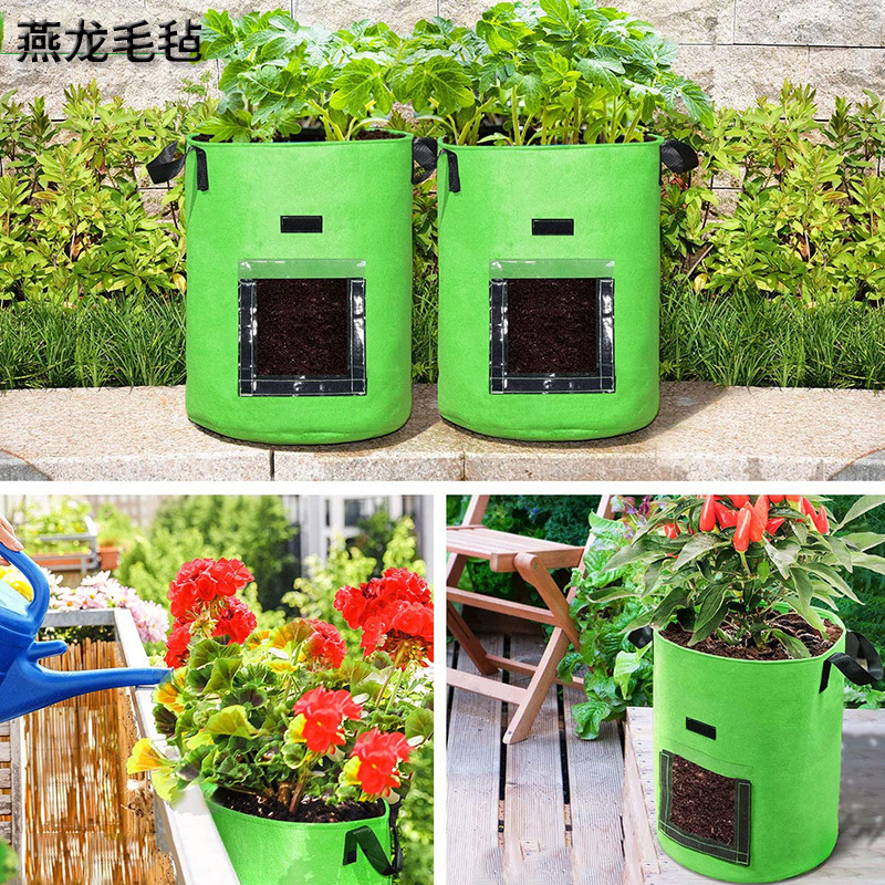 Factory wholesale felt felt planting bags House balcony small tomato…