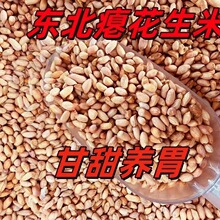瘪花生米新货花生仁生花生米甘甜零售瘪子花生米仁
