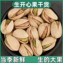 生的开心果新鲜干货干果美国伊朗商用坚果雪糕蛋糕烘焙原料批发