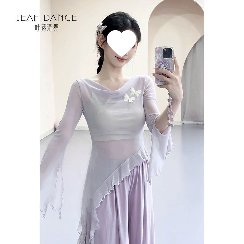 Classical Dance Clothing, Elegant Mesh Swing Collar Butterfly Top, Chinese Dance Modern Dance Body Training Clothing, Gauze Clothing Cross-Border