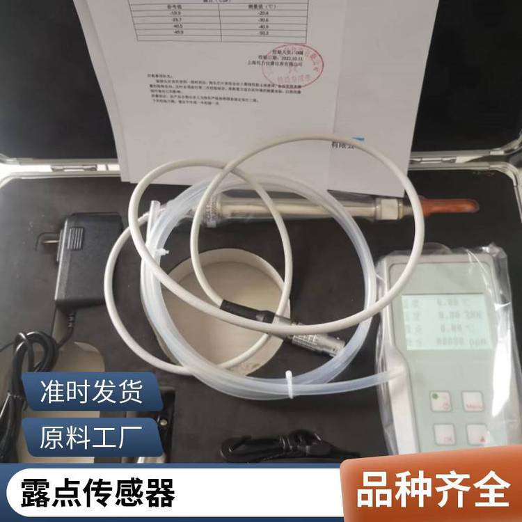 进口便携式露点仪SADP-D-P压缩空气常用现货