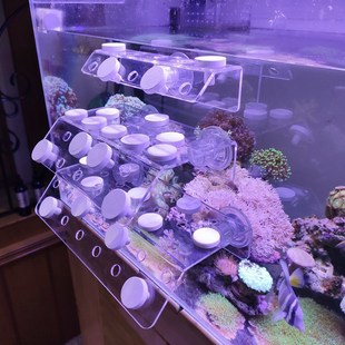 ɺ����ֳ�����ɹ�ˮ��������ɺ����֫��SPS��֦���~�ۻ���������