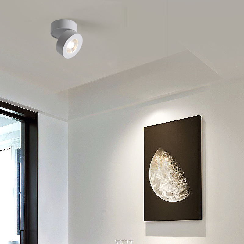 Foco LED de espectro completo para sala, regulable