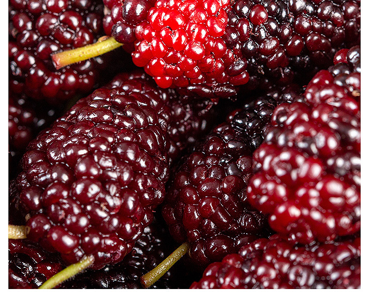 NFC Mulberry Juice Pure Mulberry Original Pulp 300ml Bagged Ready to Drink details
