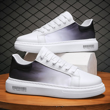 2021�ļ��¿�С��Ь���eЬ��װ�Ь��Ь��Ь�W��Ь͸����㲼