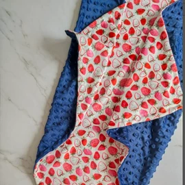 婴童抱毯毛毯;抱被抱毯;挂毯/壁毯