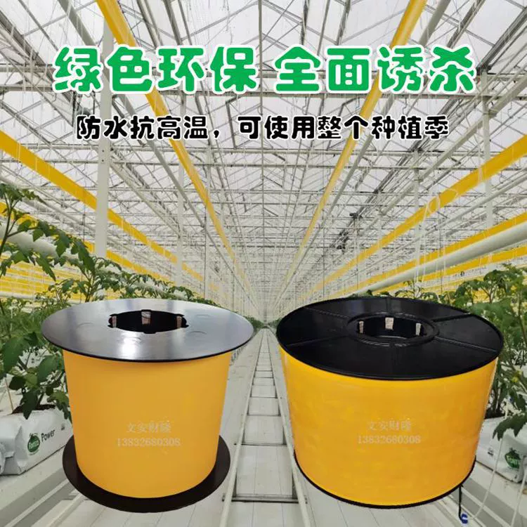 Совка с гусеницей желтый пояс ловушка для насекомых с поясом гусеницы теплица биологическая очистка Поддержка оптом