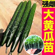 �޽��S�����珊�������G��o��ˮ�����S�����ͺ��͟�߮a�ļ�