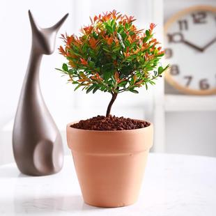 С�~����辰�҃�����ֲ���k���ҾGֲС�����k�������F���ܺ��B��