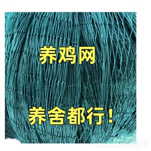 家禽养殖网尼龙网养鸡防飞网防鸟拦鸡搭顶网围栏爬藤网隔离网批发