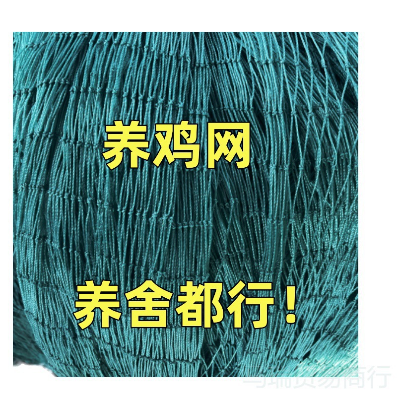 家禽养殖网尼龙网养鸡防飞网防鸟拦鸡搭顶网围栏爬藤网隔离网批发