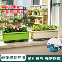 �L�����̨�Nֲ���߲˷N�����ϷNֲ����û����݆�莧��ˮ�P����