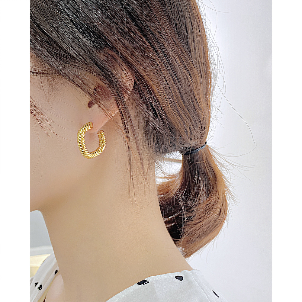Fashion Solid Color Stainless Steel Earrings Stainless Steel Earrings