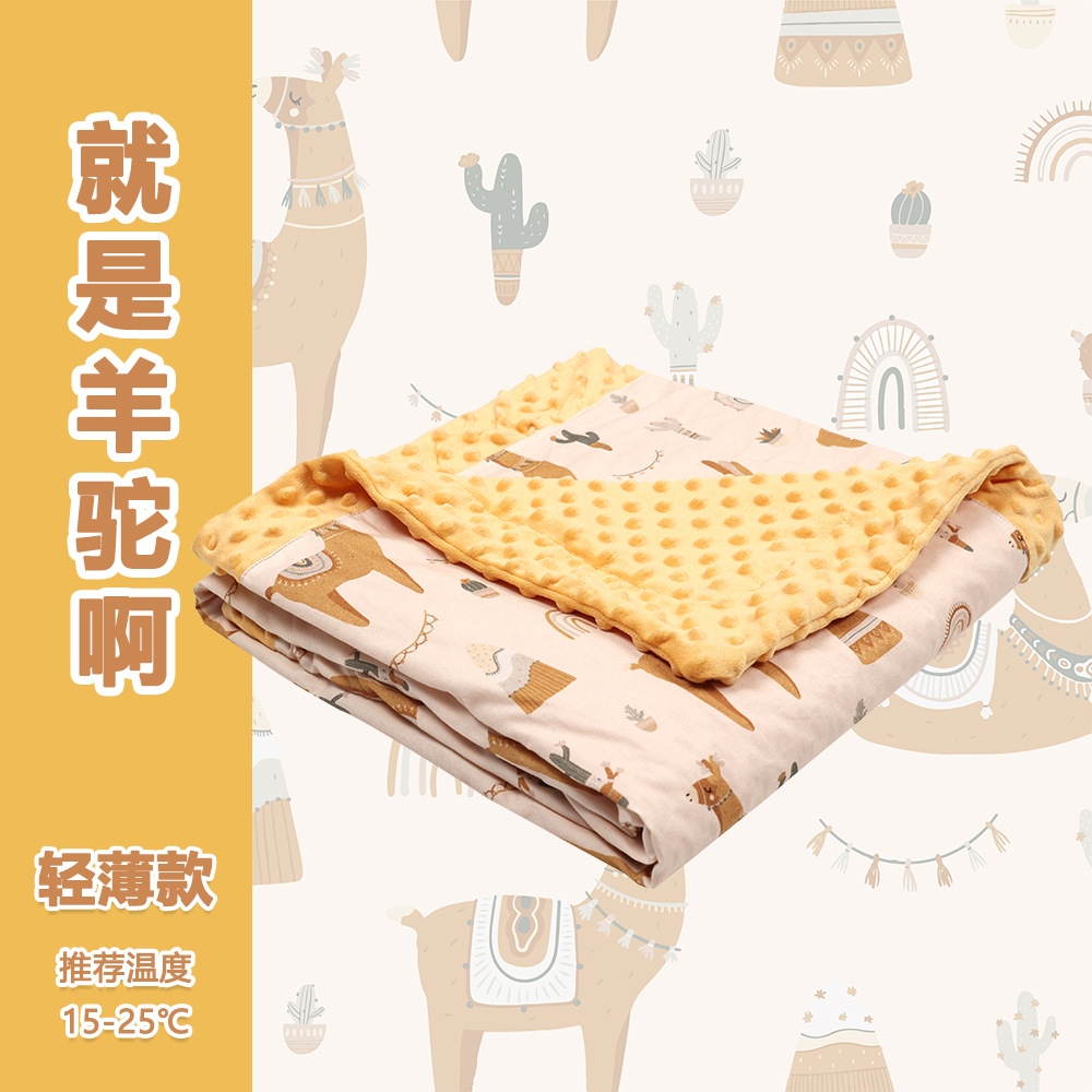 알파카-봄과 여름