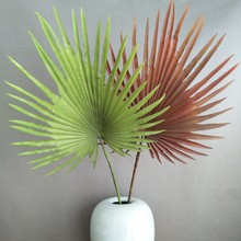 ����ֲ���~�Ĵ�̖�����~�ؙ��~�Ž��~ �ҾӾƵ��c�bzӰ����