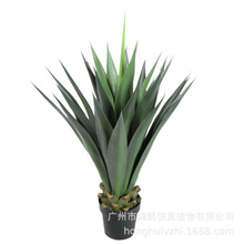 �S�����l���۷��愦���辰���W�L����Ҿ��bپGֲ���z���鄦�m