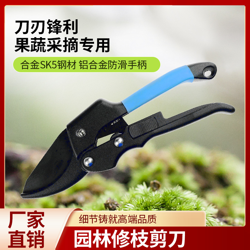 剪枝果树修枝剪刀园艺修剪树枝园林省力修花枝剪家用强力剪子神器